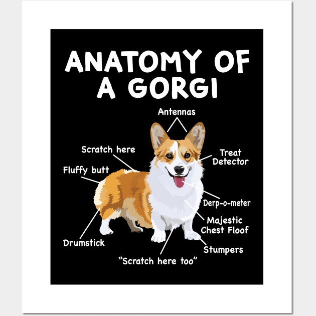 Anatomy of a Corgi Wall Art by Wakzs3Arts